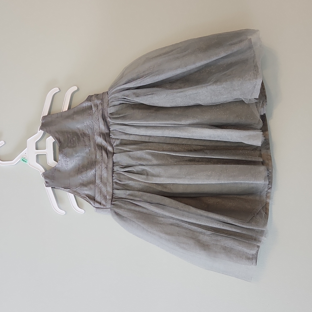 Beautiful Dress 2T